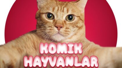 KOMIK HAYVANLAR