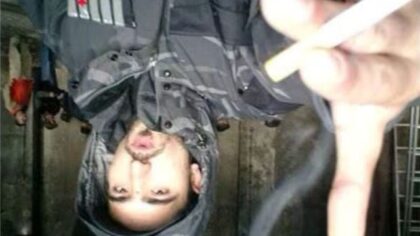 shit post meme yarrak taşşak 31 selffuck