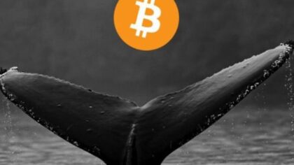 Mobydick – Bitcoin & Cryptocurrency Whale Alerts